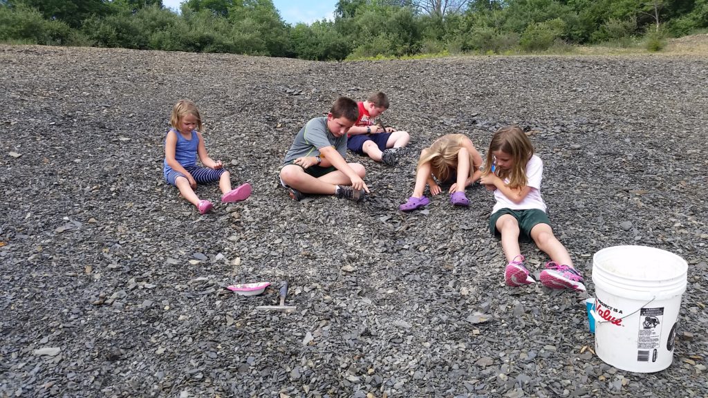 Fossil Pit – Montour Preserve